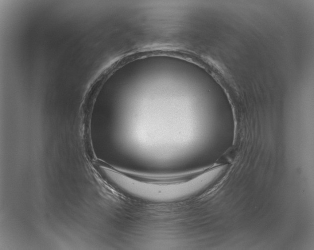 X0000071951406200608041541