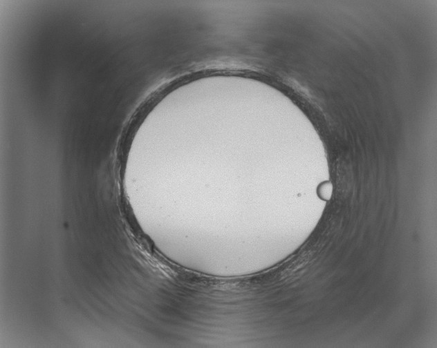 X0000071951408200608041541