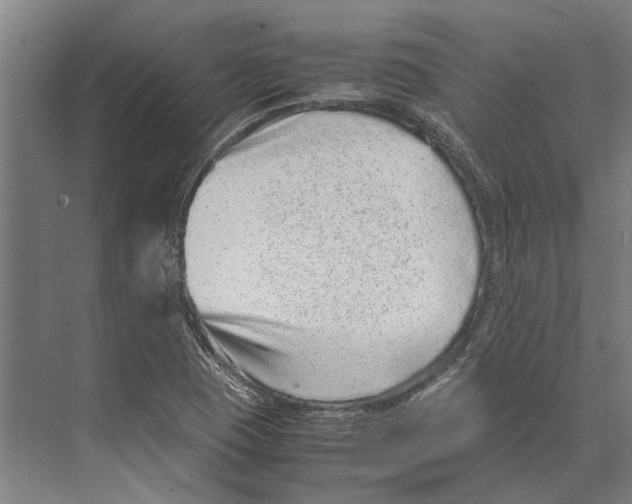 X0000071951409200608041541