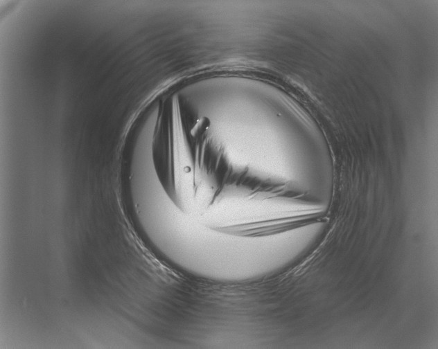 X0000071951410200608041541