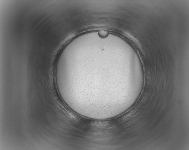 X0000071951411200608041541