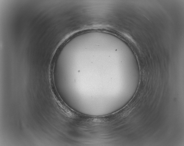 X0000071951412200608041541