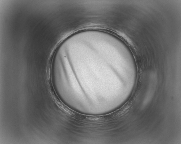 X0000071951413200608041541