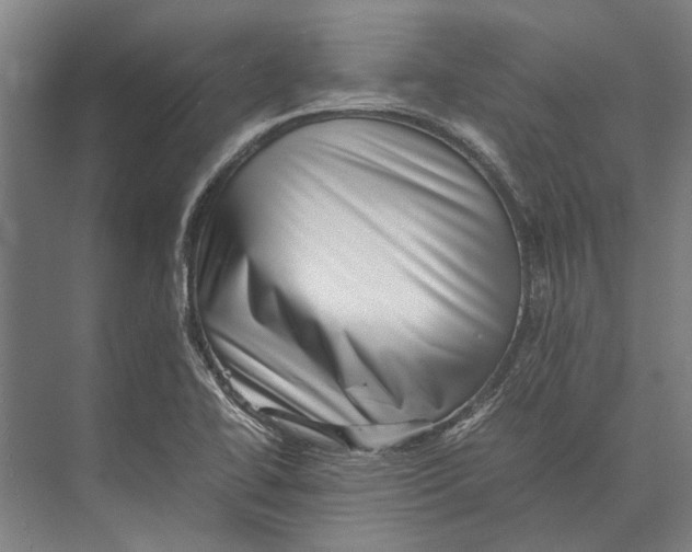 X0000071951414200608041541