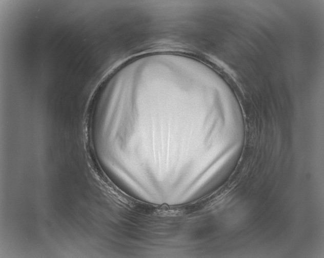 X0000071951415200608041541