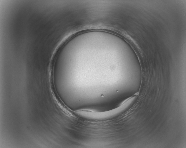 X0000071951416200608041541