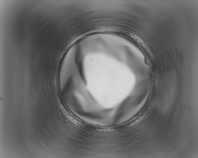 X0000071951417200608041541