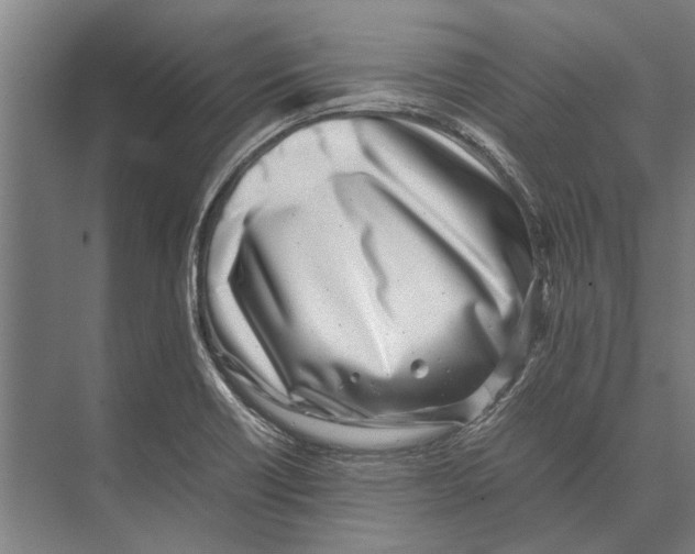 X0000071951418200608041541