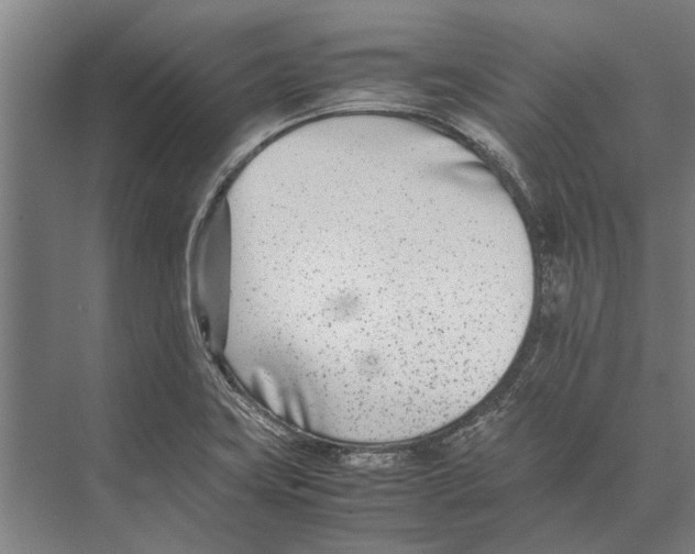 X0000071951419200608041541