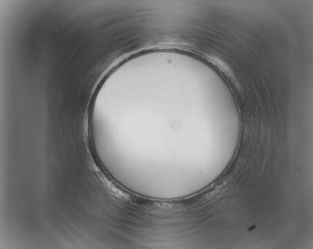 X0000071951420200608041541