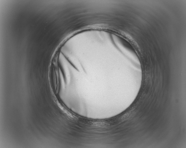 X0000071951421200608041541