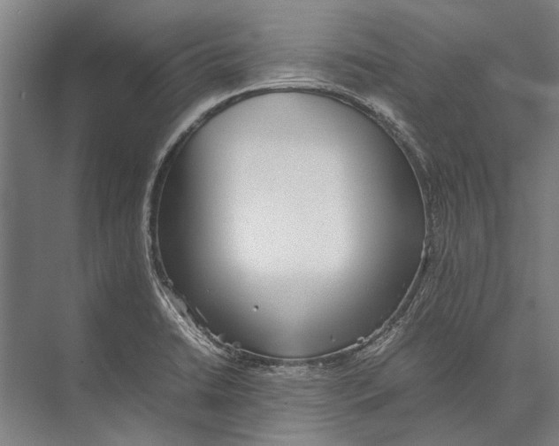 X0000071951422200608041541