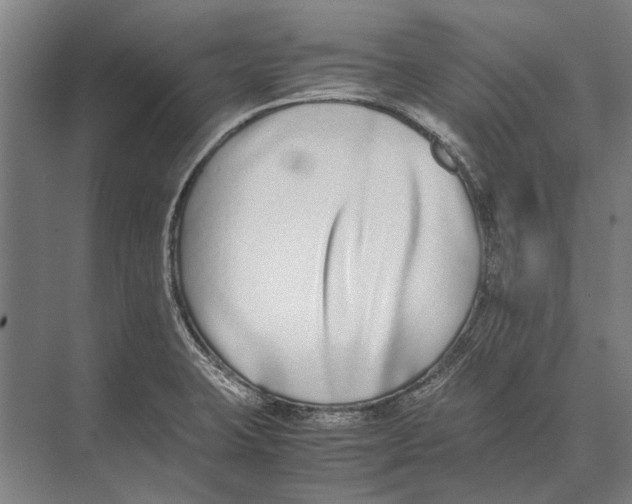 X0000071951423200608041541