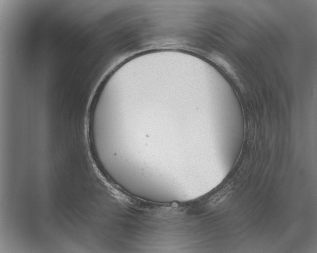 X0000071951424200608041541