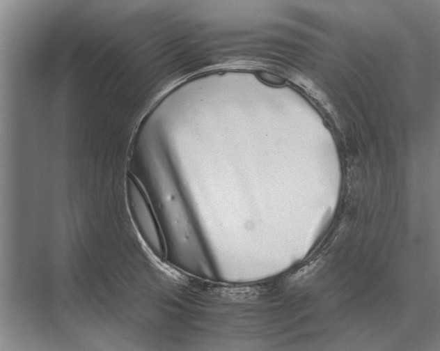 X0000071951425200608041541