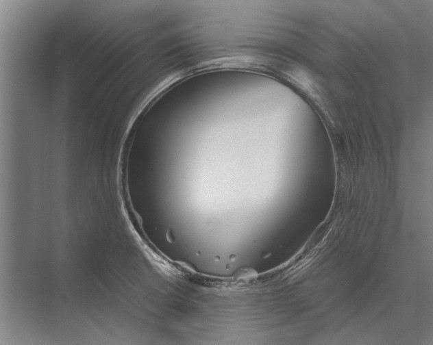 X0000071951426200608041541