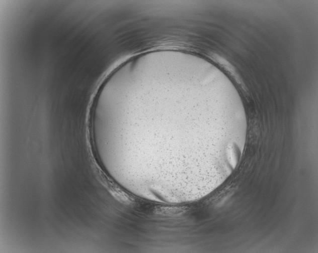 X0000071951427200608041541