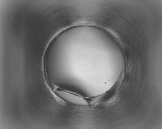 X0000071951430200608041541