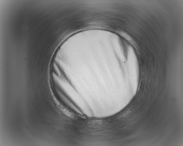 X0000071951431200608041541