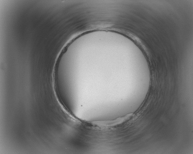 X0000071951432200608041541