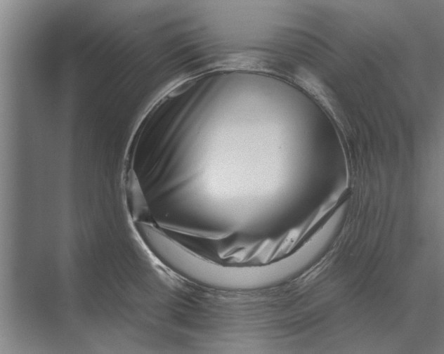 X0000071951434200608041542