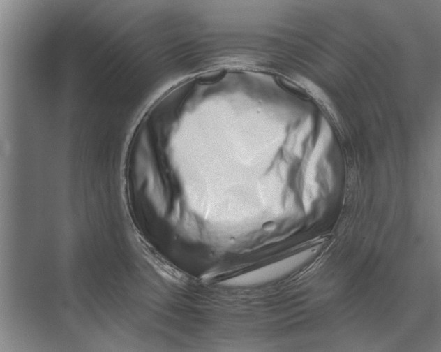 X0000071951435200608041542