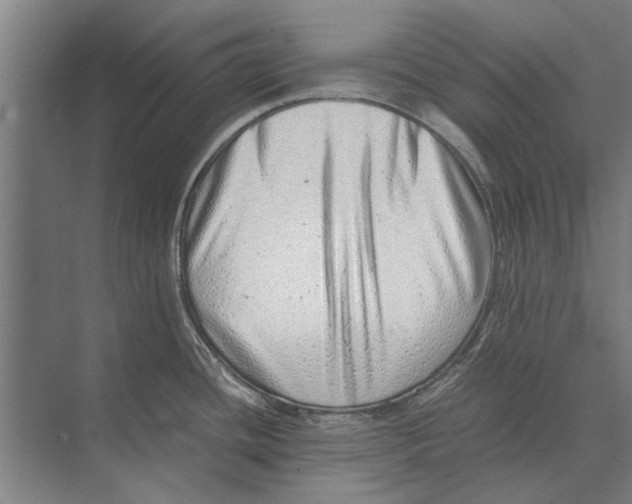 X0000071951436200608041542