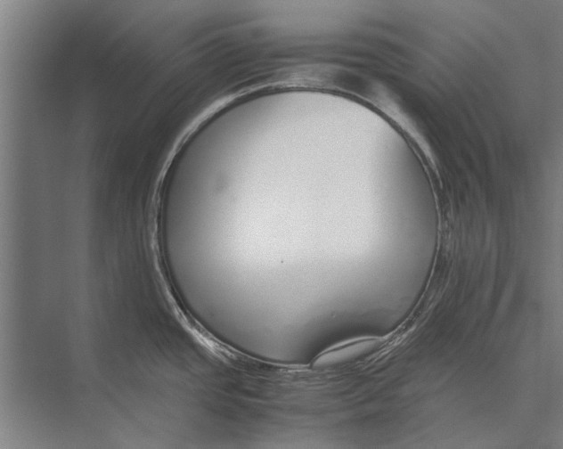 X0000071951437200608041542