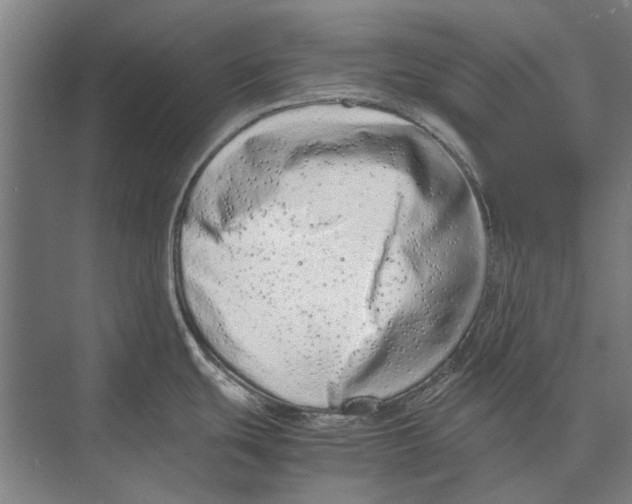 X0000071951439200608041542