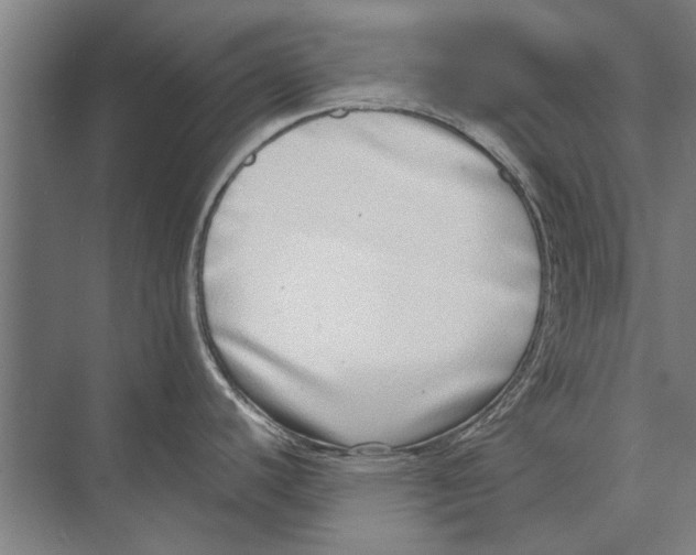 X0000071951440200608041542