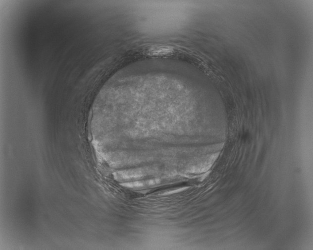 X0000071951441200608041541