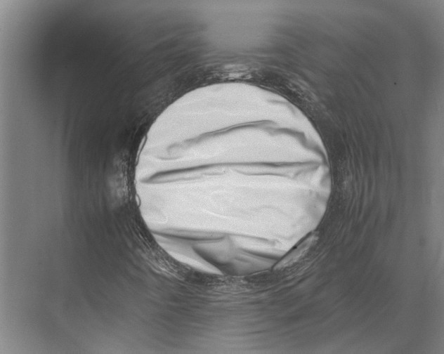 X0000071951442200608041541