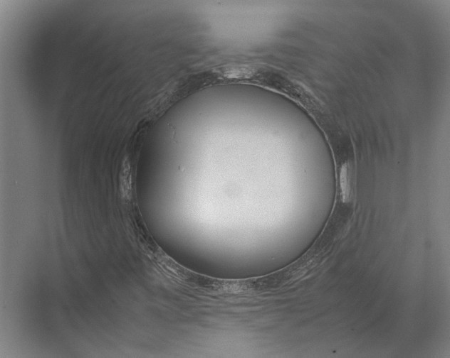 X0000071951443200608041541