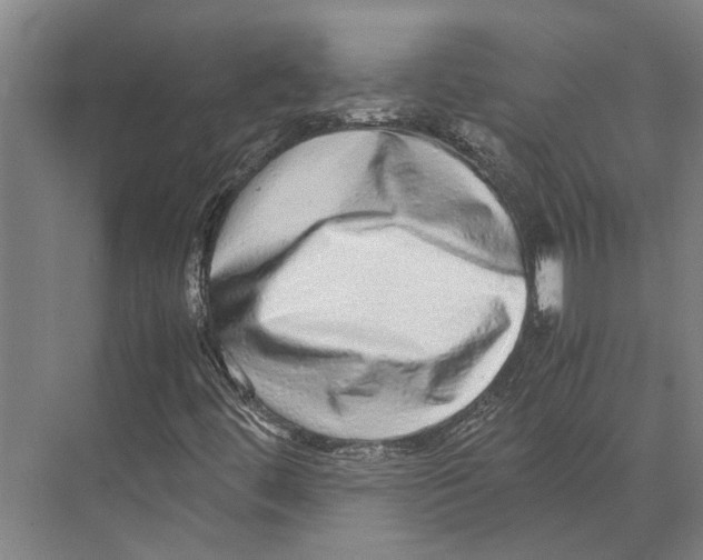 X0000071951444200608041541