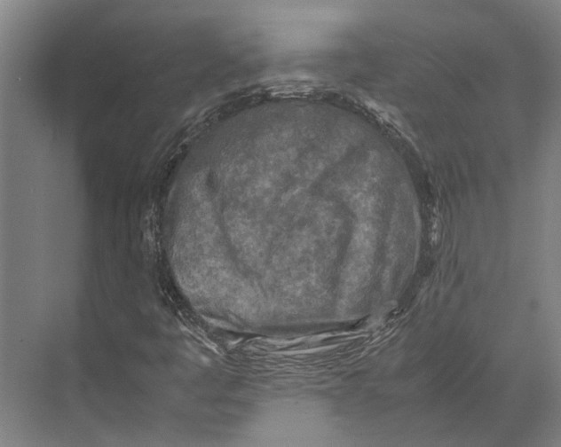 X0000071951445200608041541