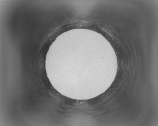 X0000071951447200608041541