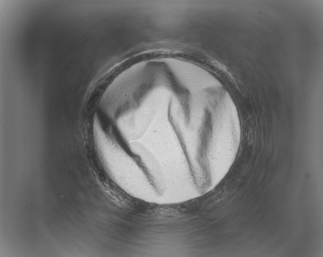 X0000071951448200608041541