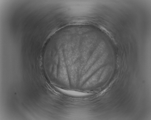 X0000071951449200608041541