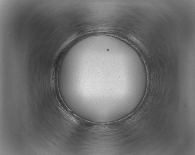 X0000071951450200608041541