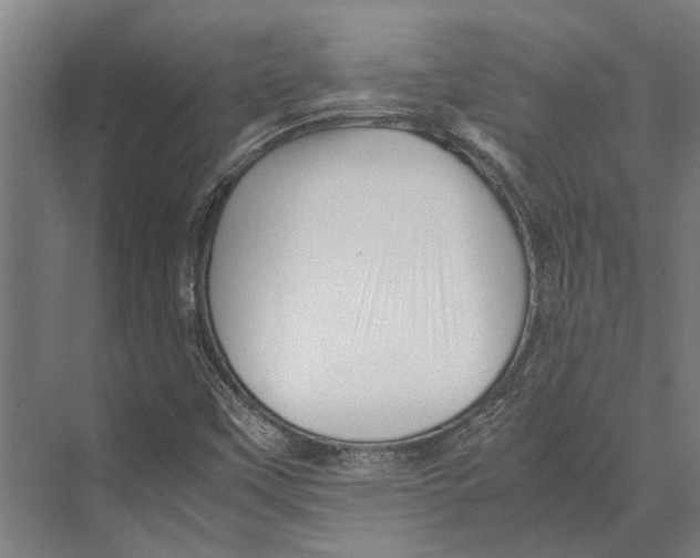 X0000071951451200608041541