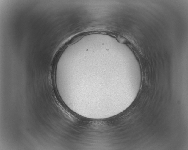 X0000071951452200608041541