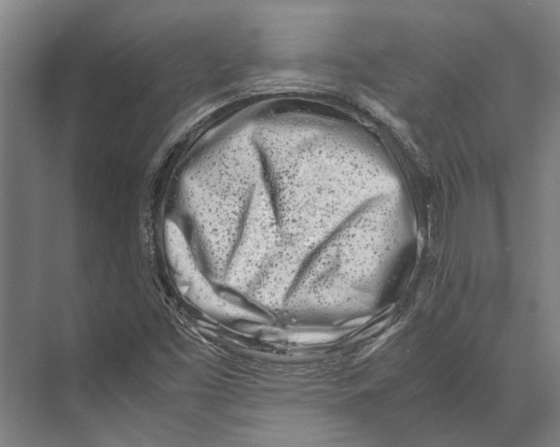 X0000071951453200608041541