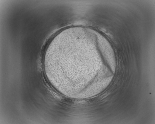 X0000071951454200608041541