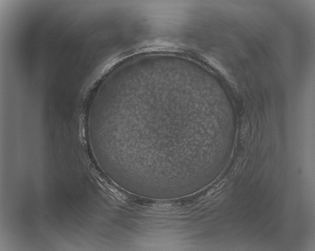 X0000071951455200608041541