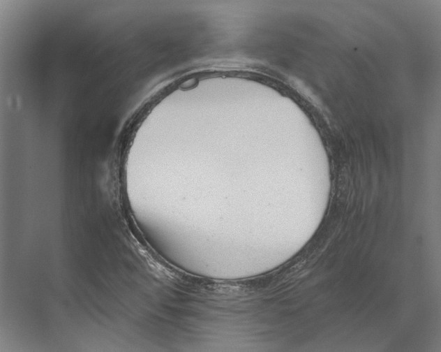 X0000071951456200608041541