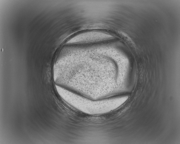 X0000071951457200608041541