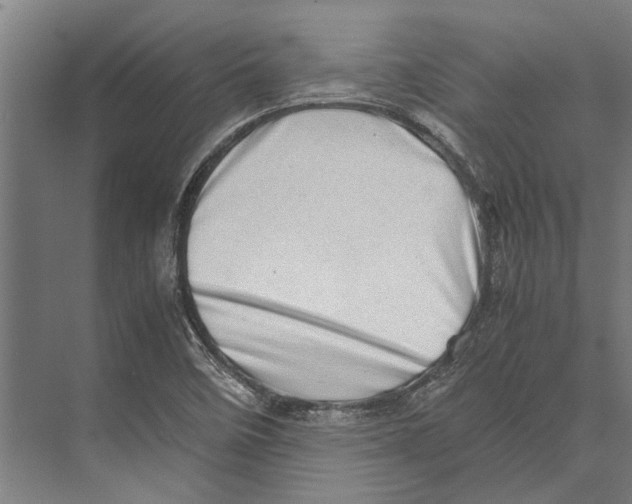 X0000071951458200608041541