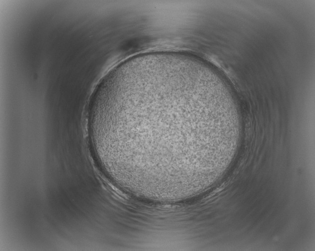 X0000071951459200608041541