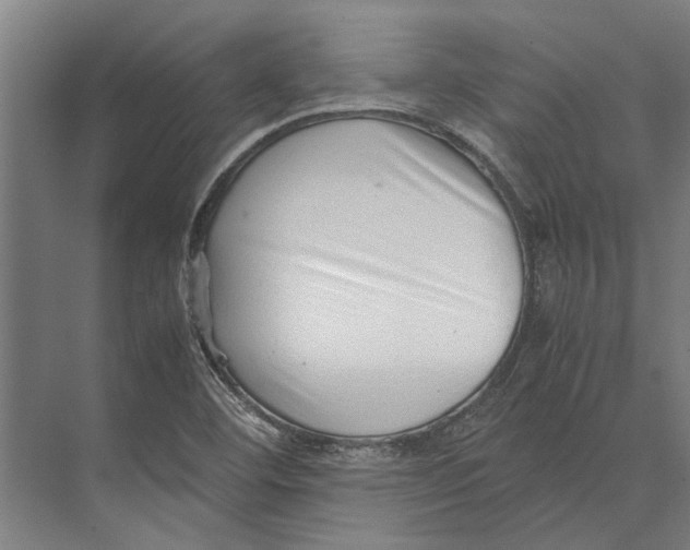 X0000071951460200608041540