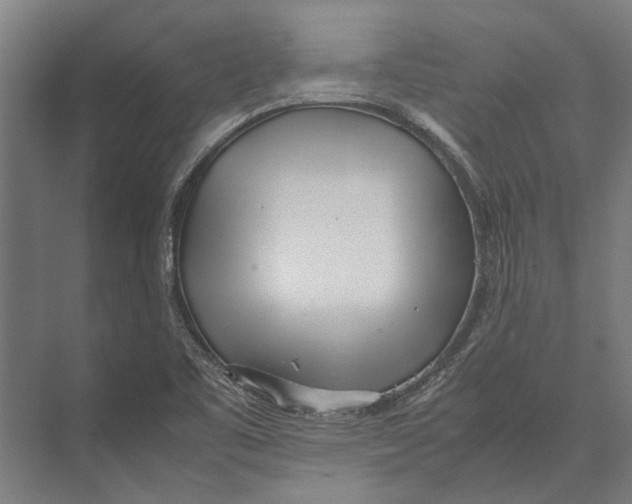 X0000071951461200608041540